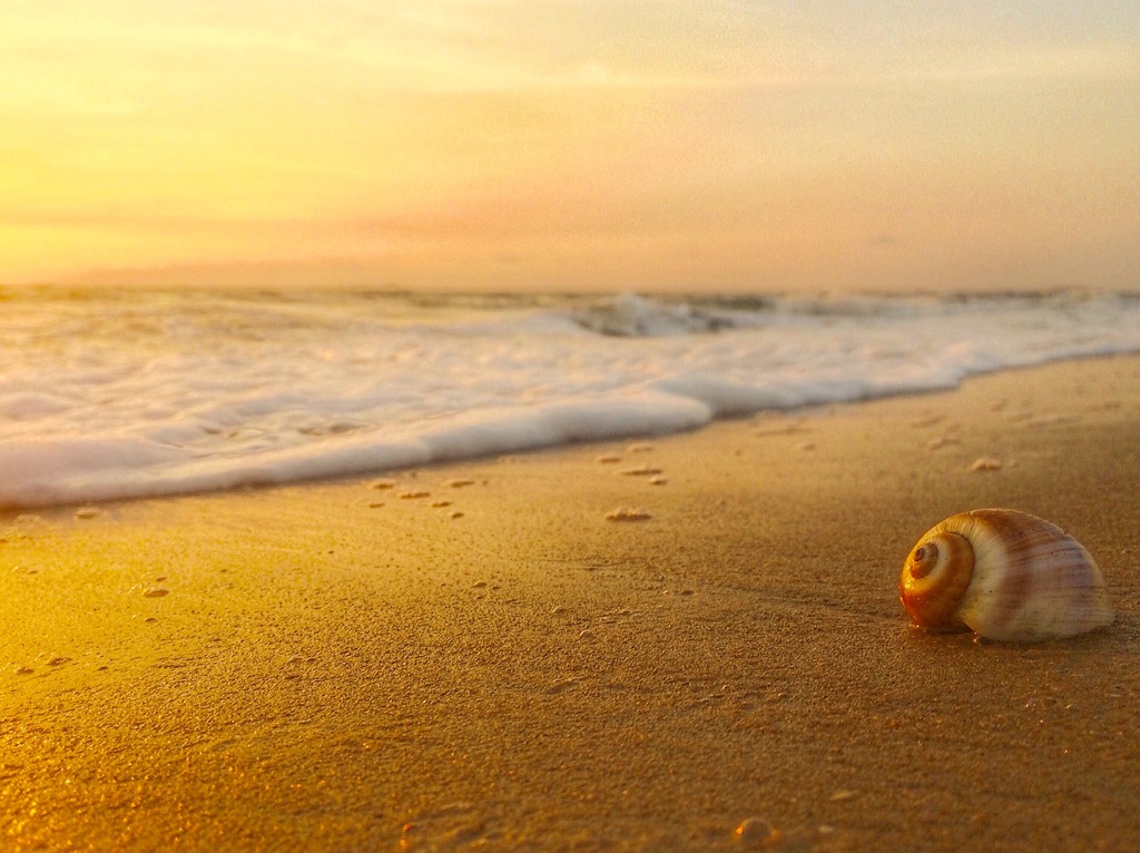 Vypeen Beach