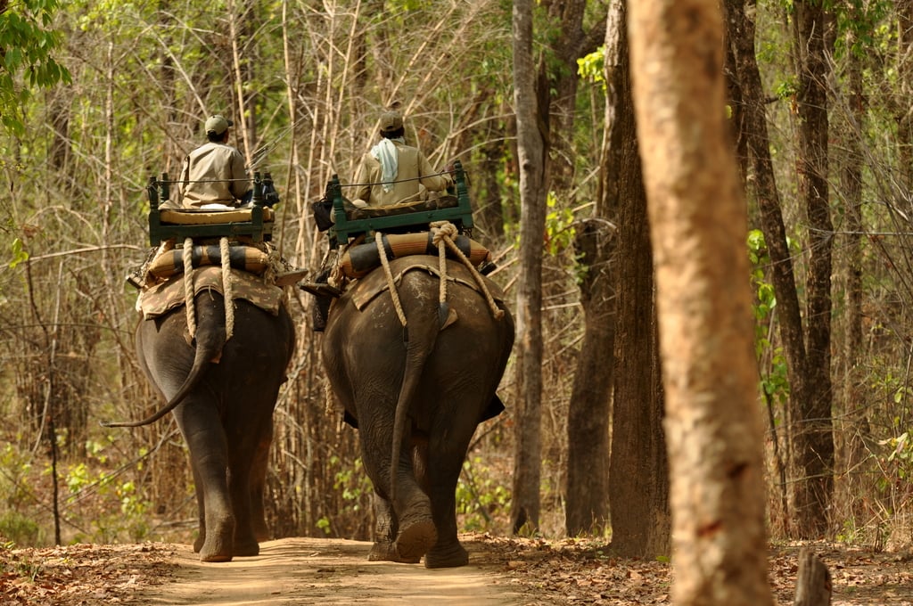 CampElephants Kanha DSC 0725