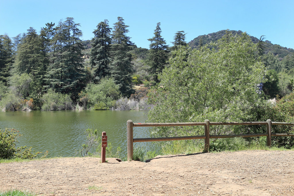 Picnic Site in Franklin Canyon Reservoir