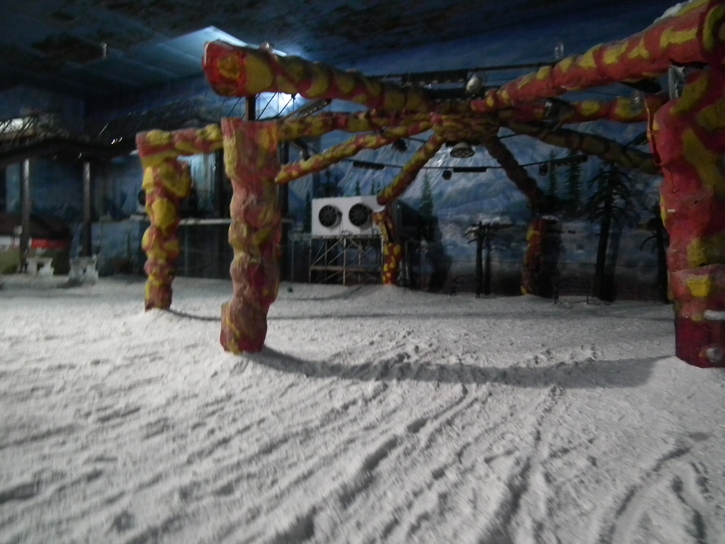 Photo from Snow world Hyderabad 3934
