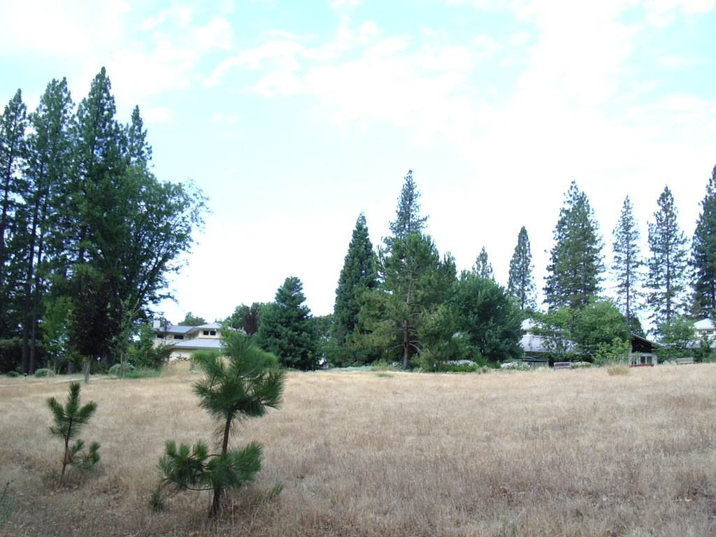 Ananda Meditation Retreat