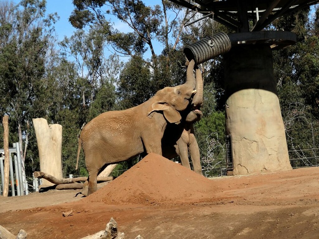 San Diego Zoo