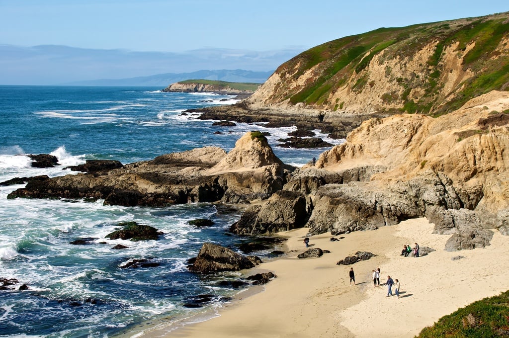 Bodega Head Beach