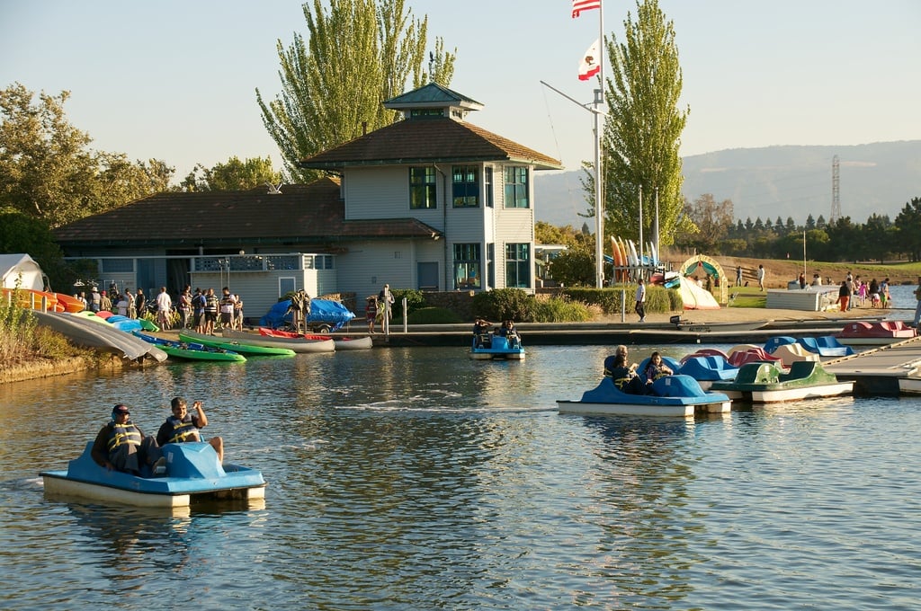 Paddle Boats on Shoreline Lake