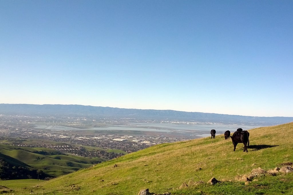 Skyline - Mission Peak Regional Preserve, Fremont, California