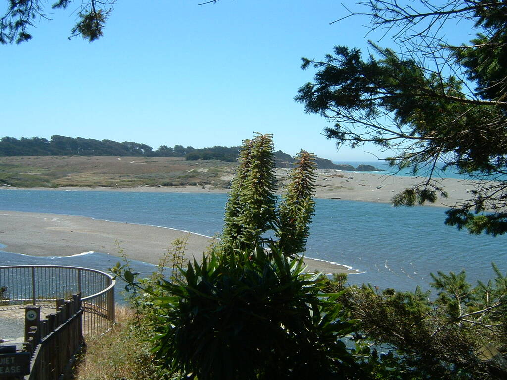 Gualala Vista