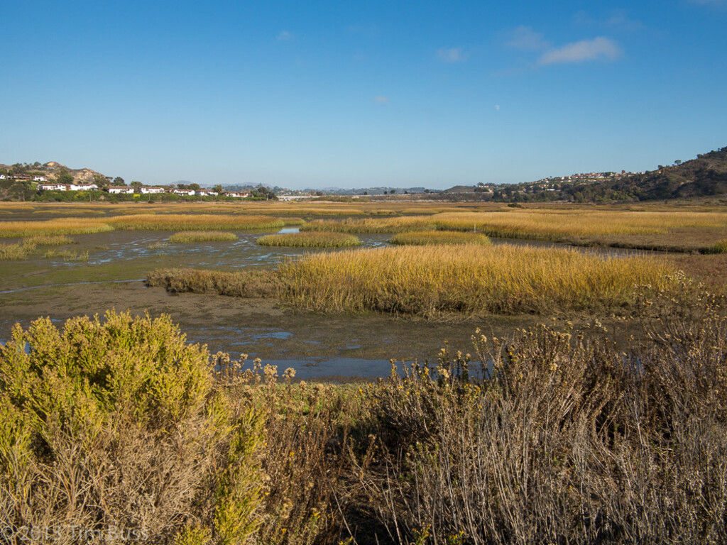San Elijo Lagoon