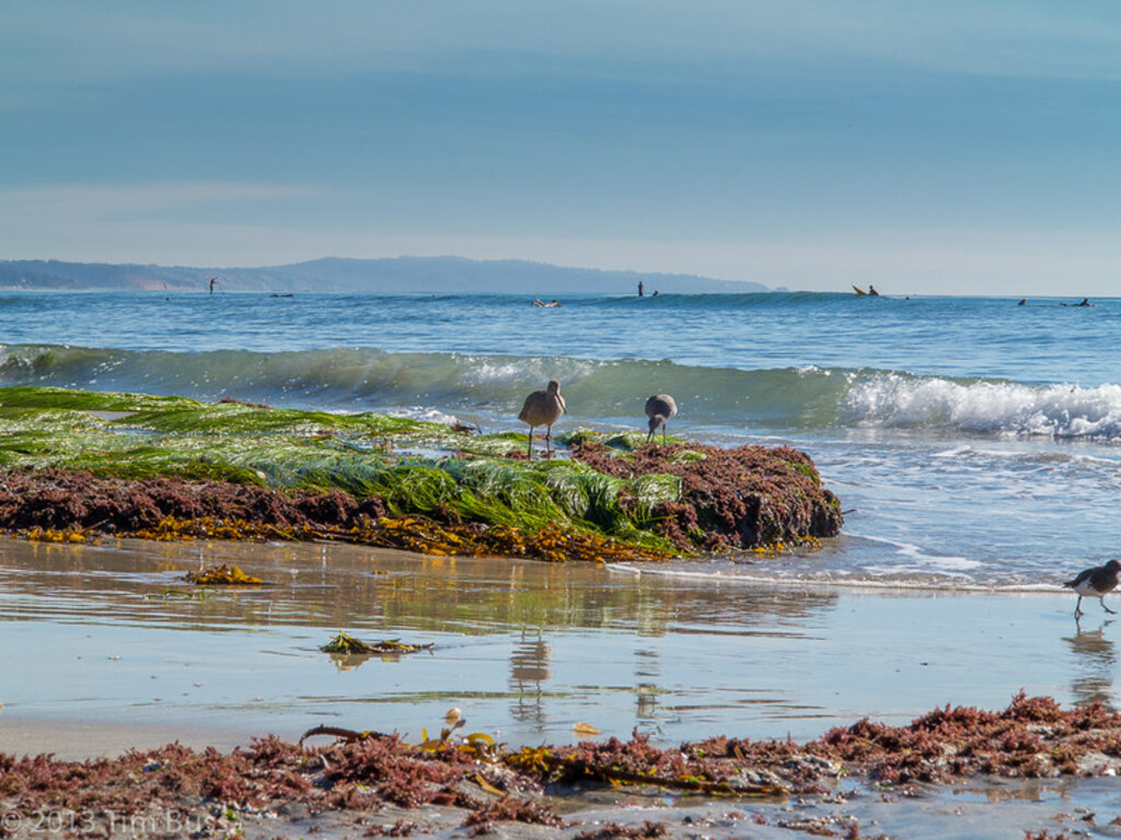 Swami's Beach, Encinitas