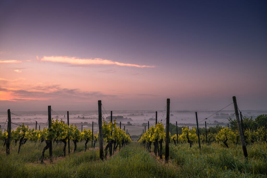 Mendocino