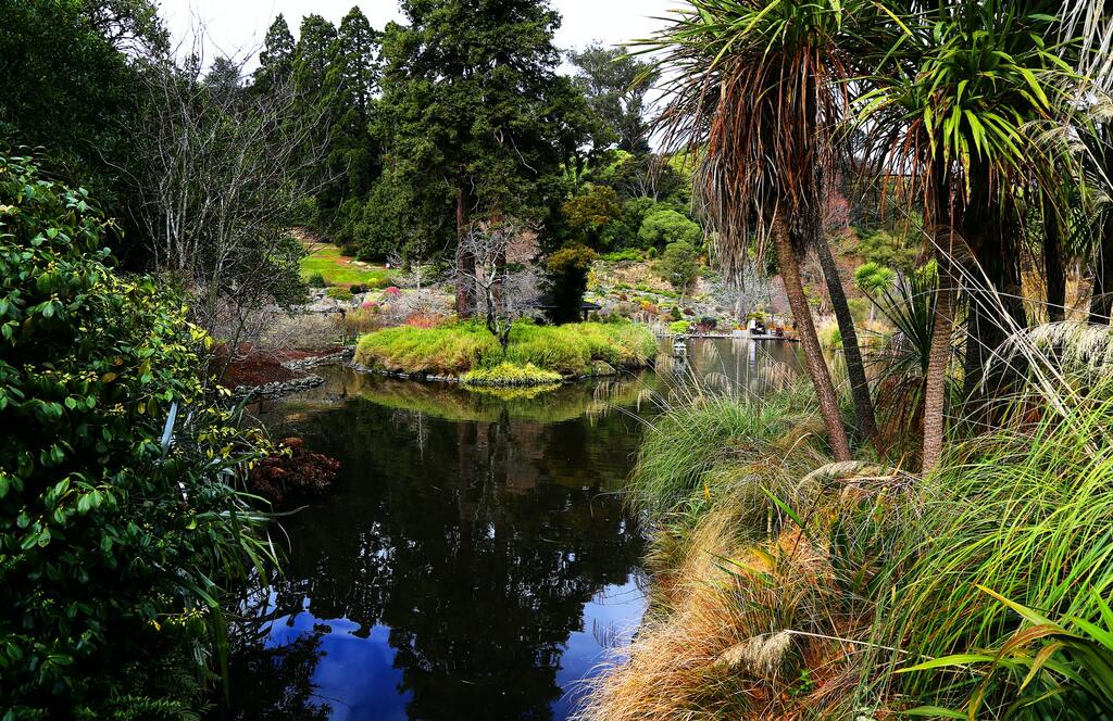 Pond