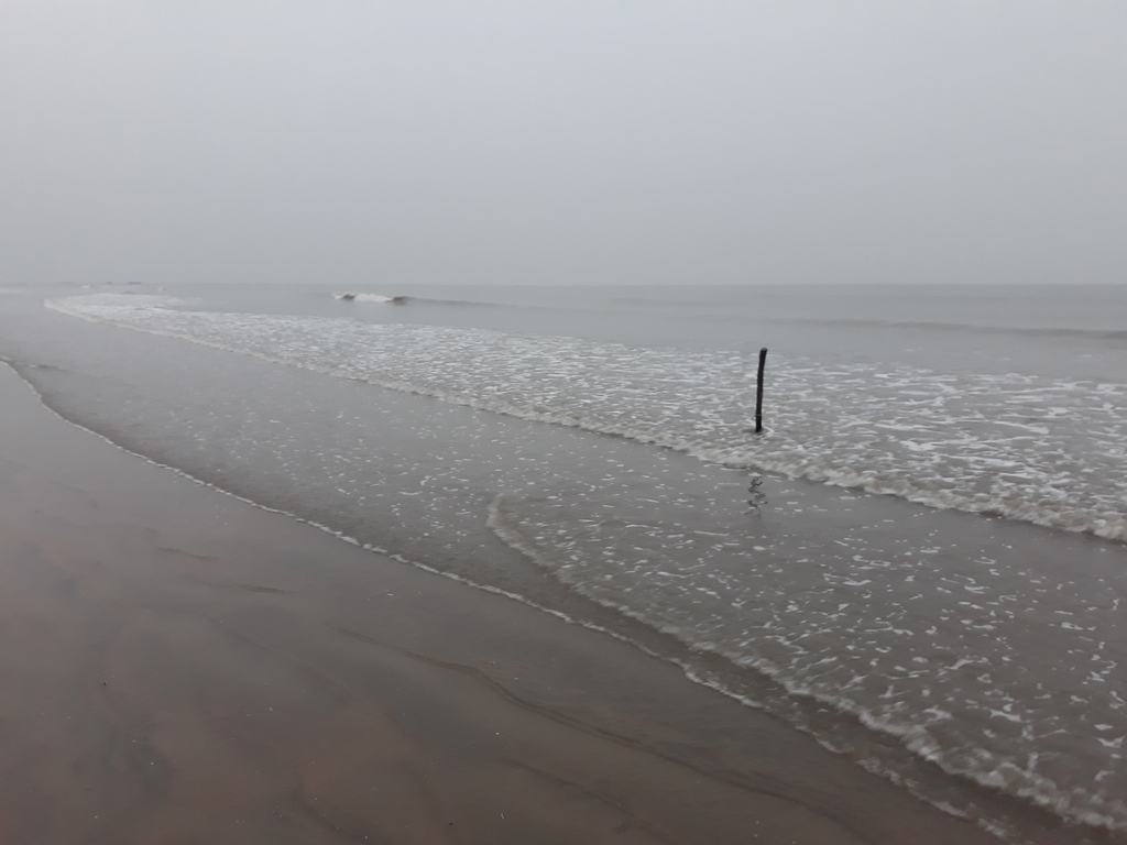 Tajpur beach, West Bengal 16