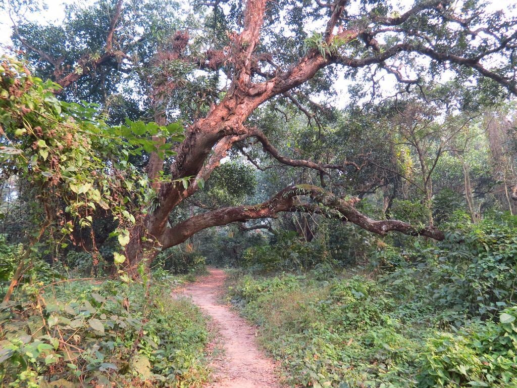 Narendrapur Wildlife Sanctuary