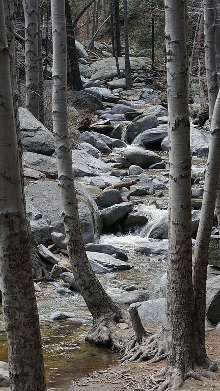 Seeley Creek