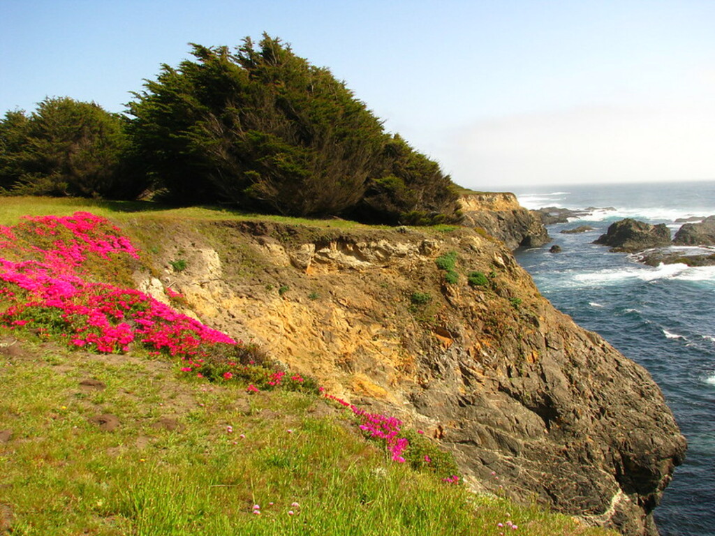 Van Damme, State Park