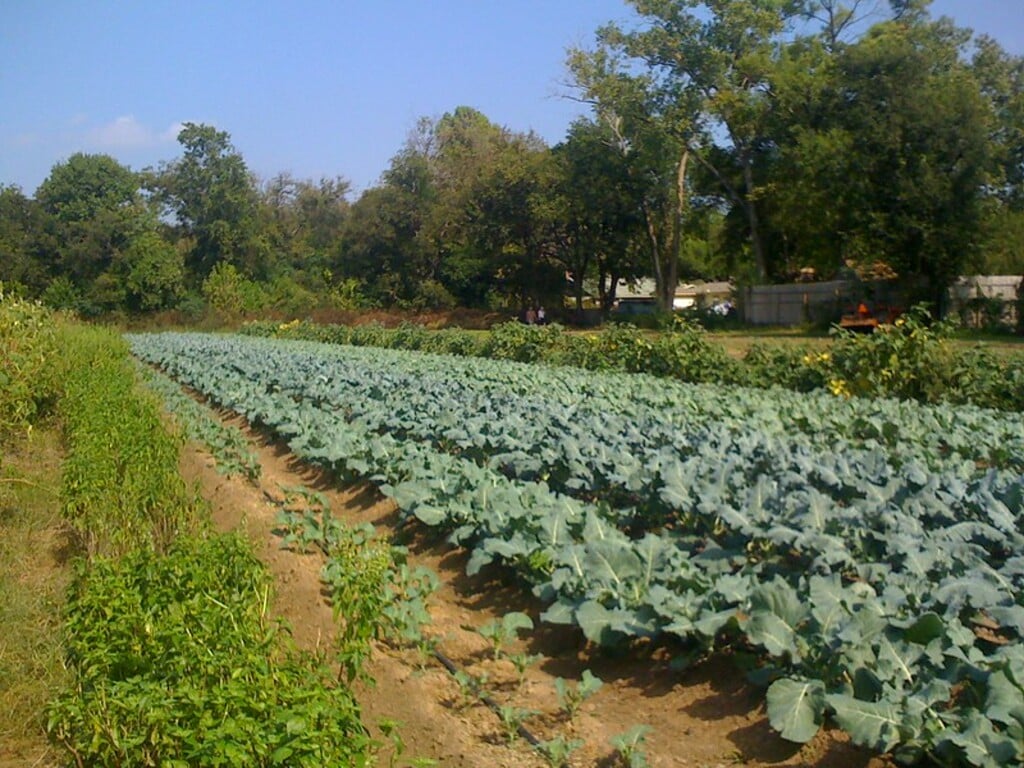 Boggy Creek Farm