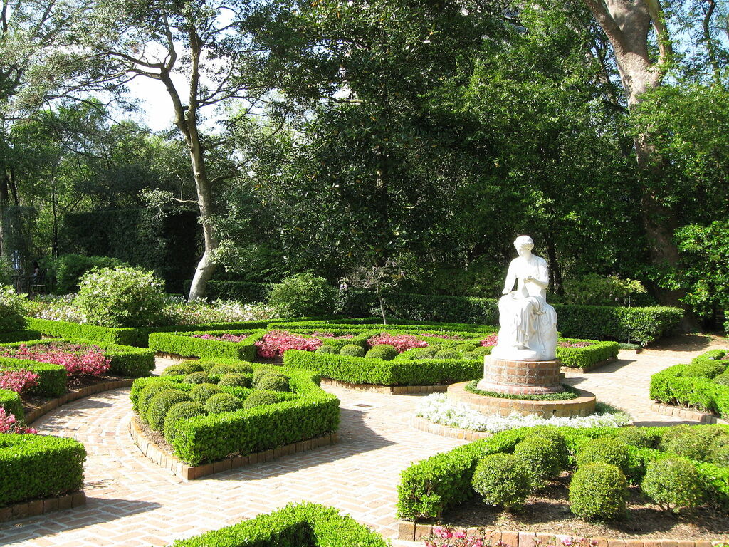 BayouBendClioGarden
