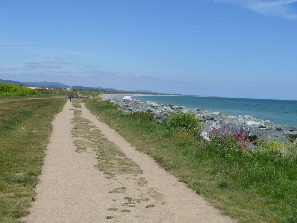 The Murrough [2]