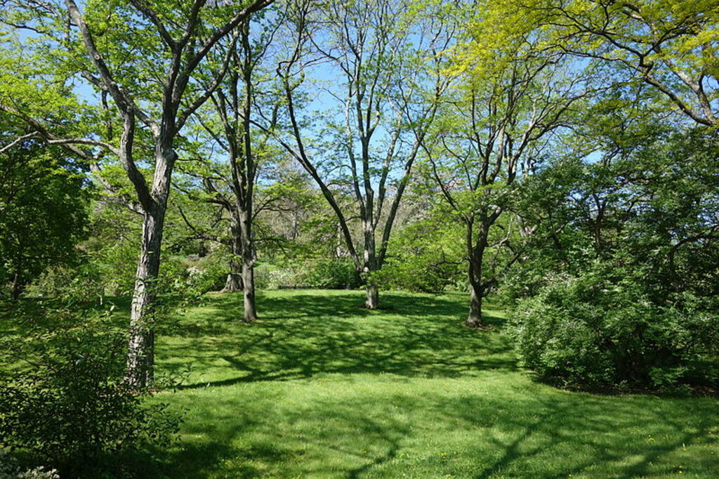 General view - Arnold Arboretum - DSC06719
