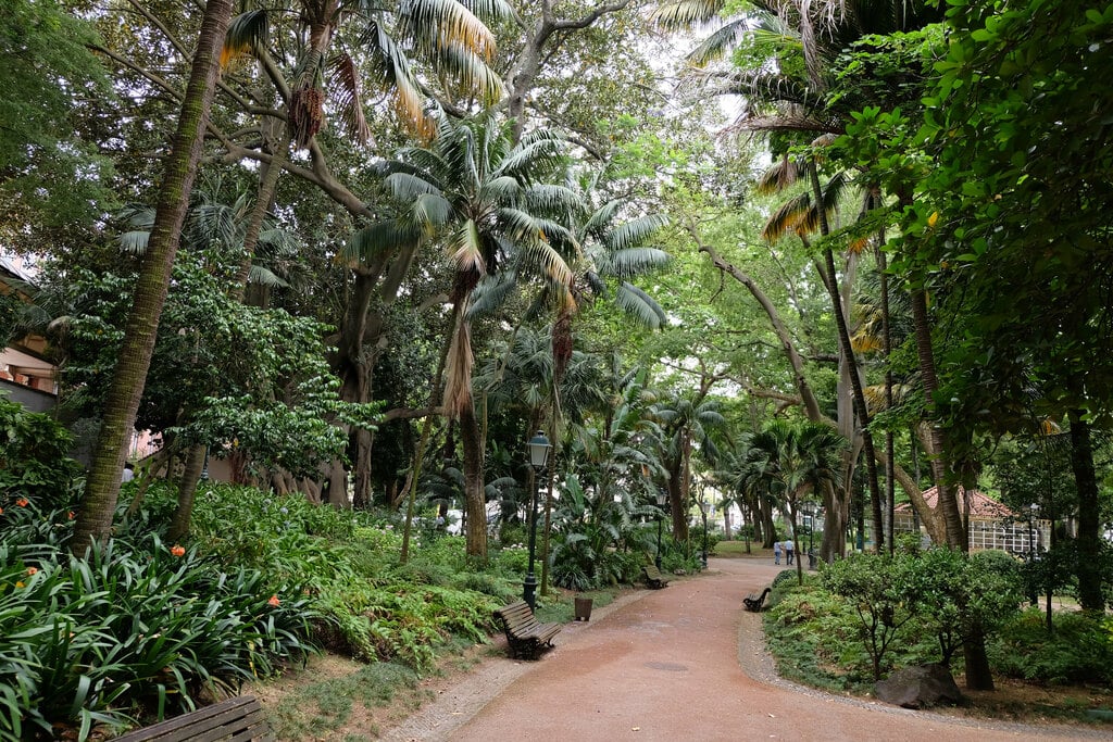 Jardim da Estrela