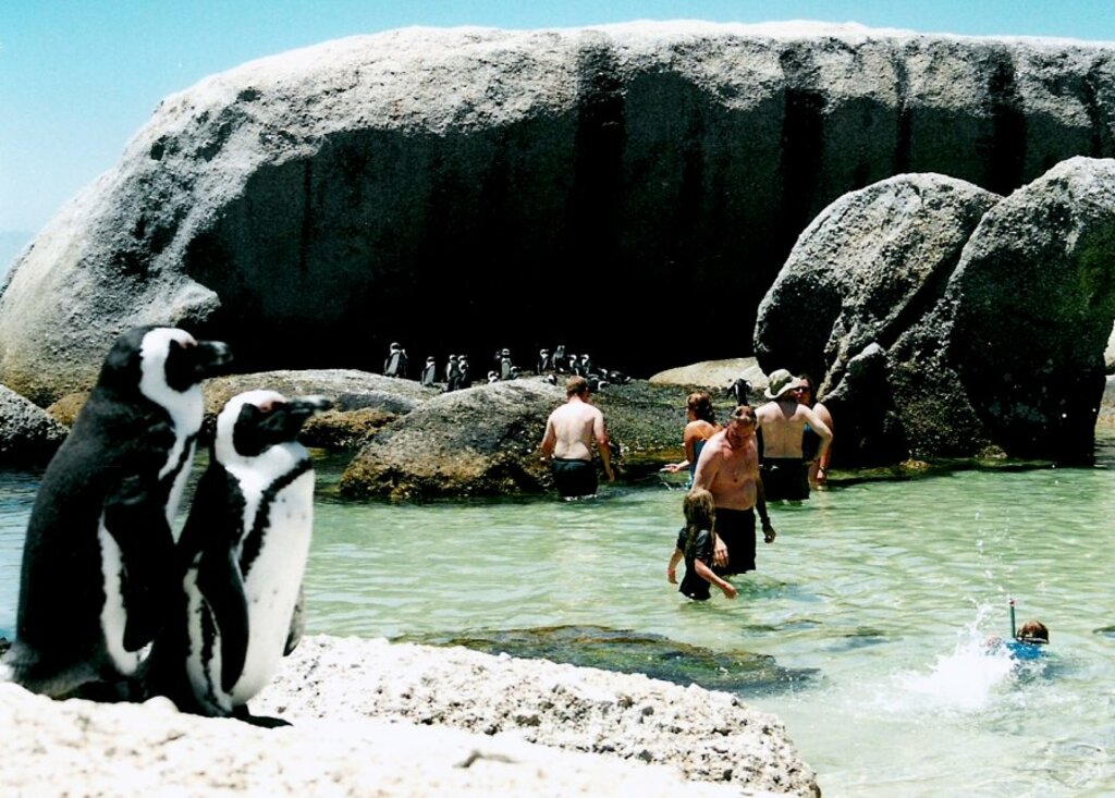 RSA Boulders