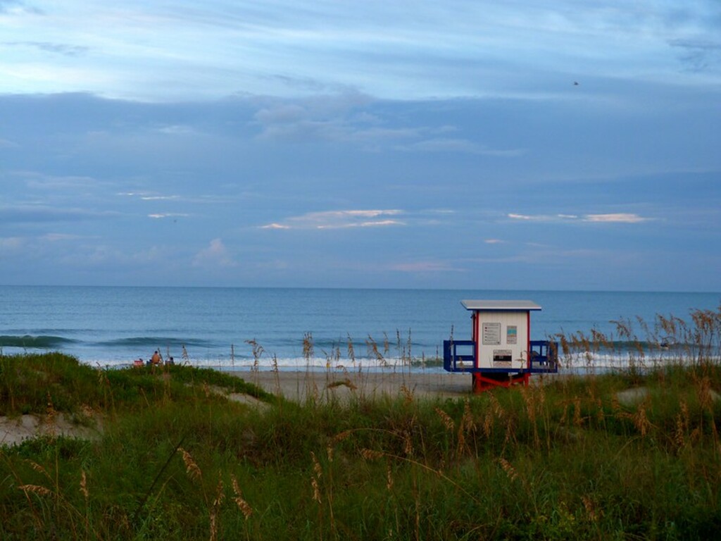 Lori Wilson Park