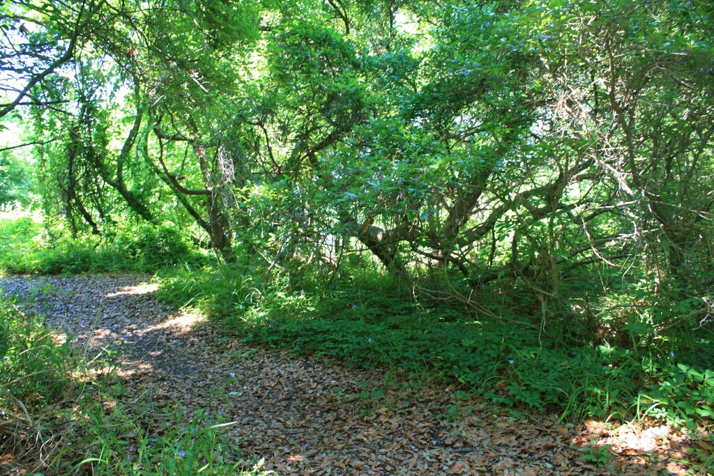 Indian Mound Park 06May2010 07