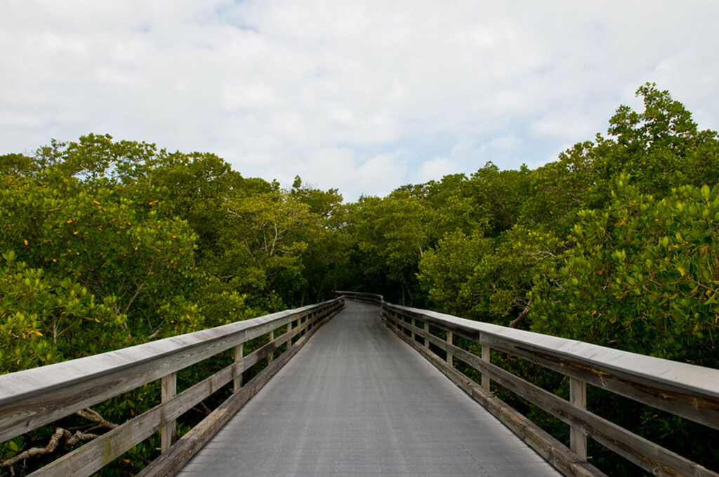 Naples Grande Resort - Naples, FL