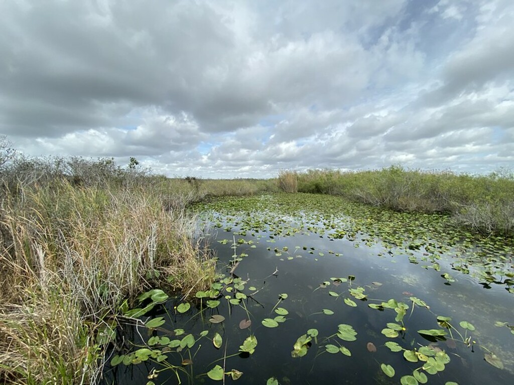 024/366 Everglades National Park, Homestead, Florida