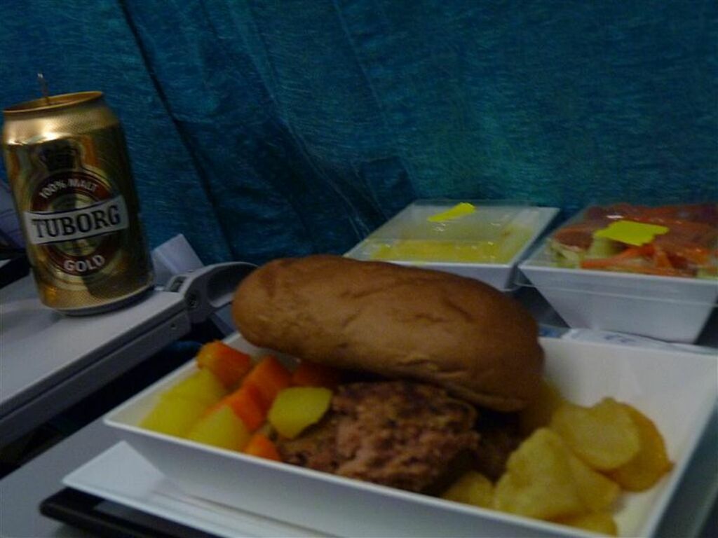 Meal in Turkish Airlines in Dhaka to Istanbul flight