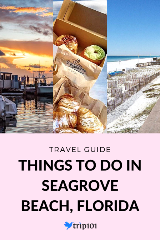 Things To Do In Seagrove Beach, Florida
