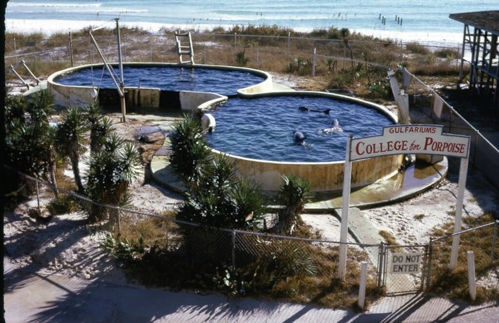 dec 1973 gulfarium