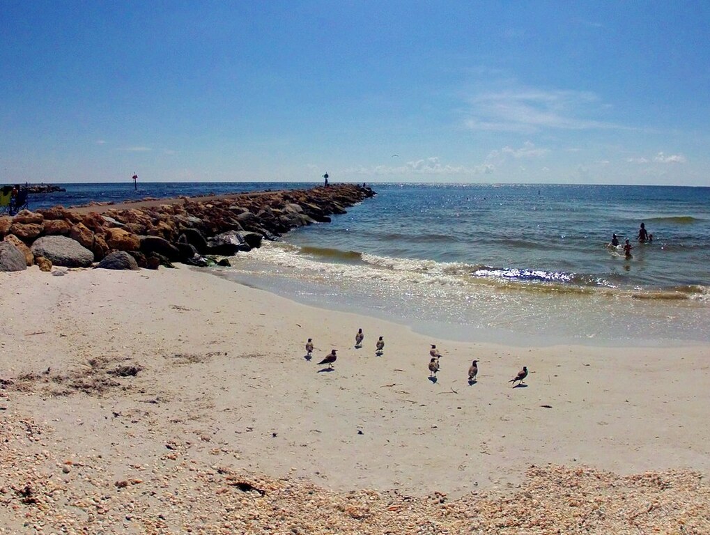 Snorkeling the north Venice jetty on Casey Key, Florida