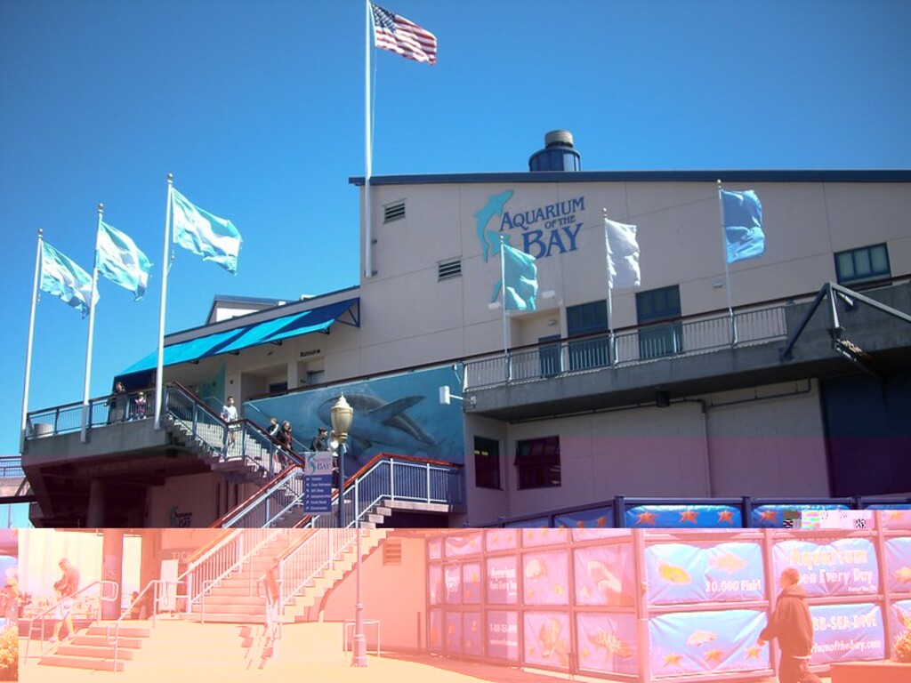 Aquarium of the Bay