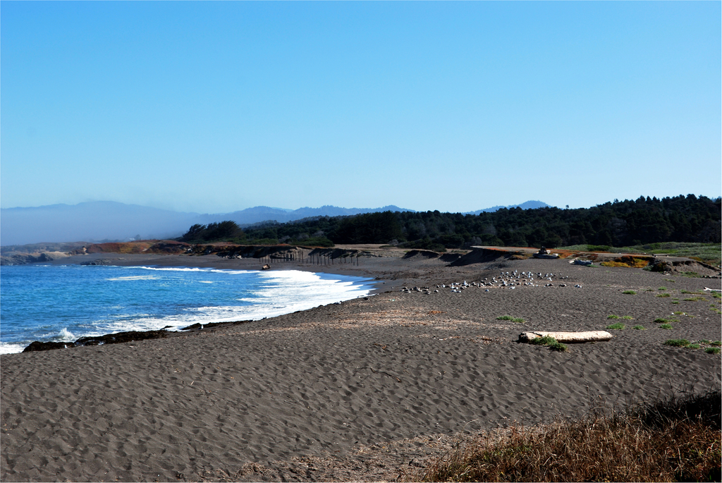 Campsites In Fort Bragg, California