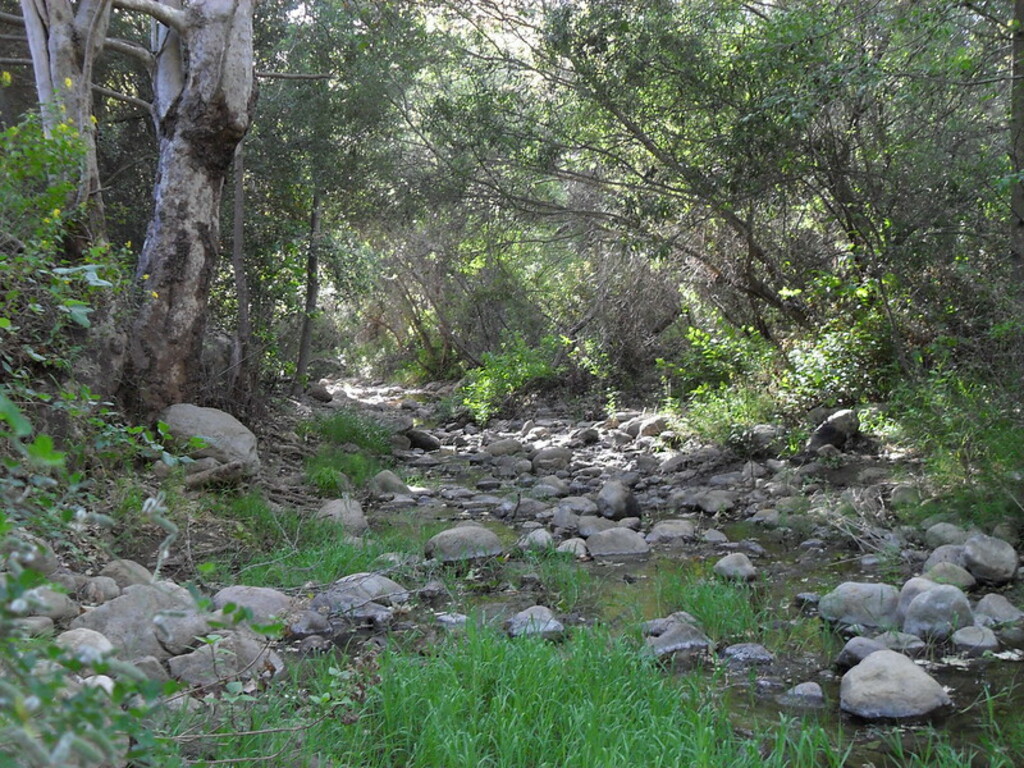 San Antonio Creek Trail 