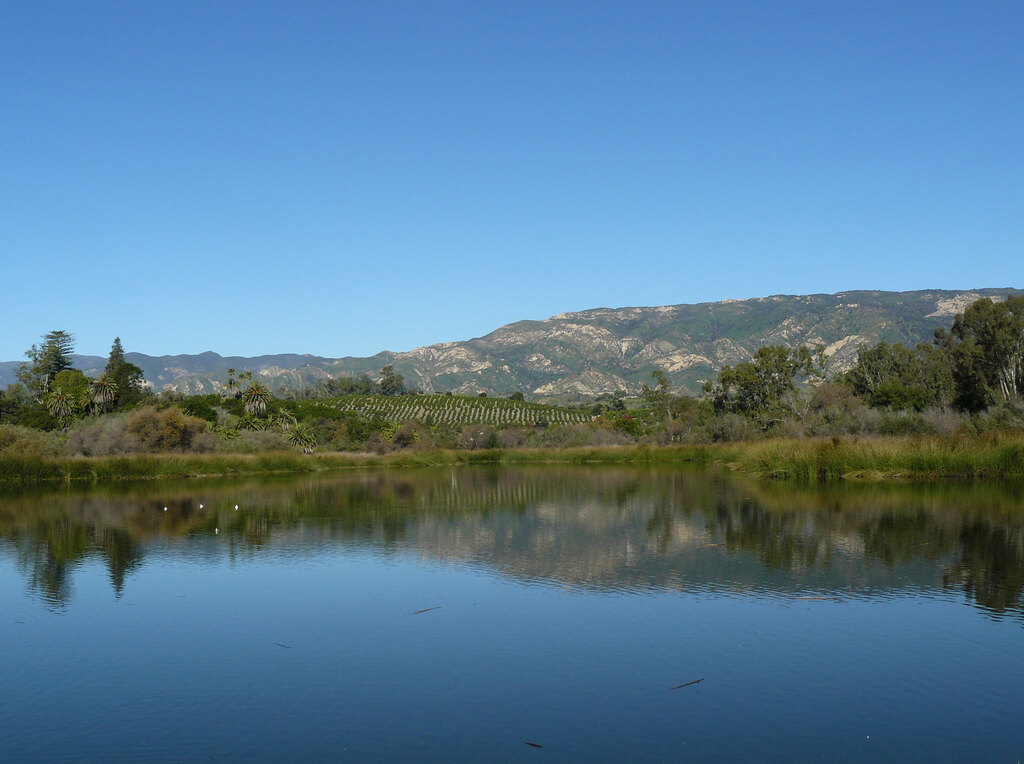 Lake Los Carneros