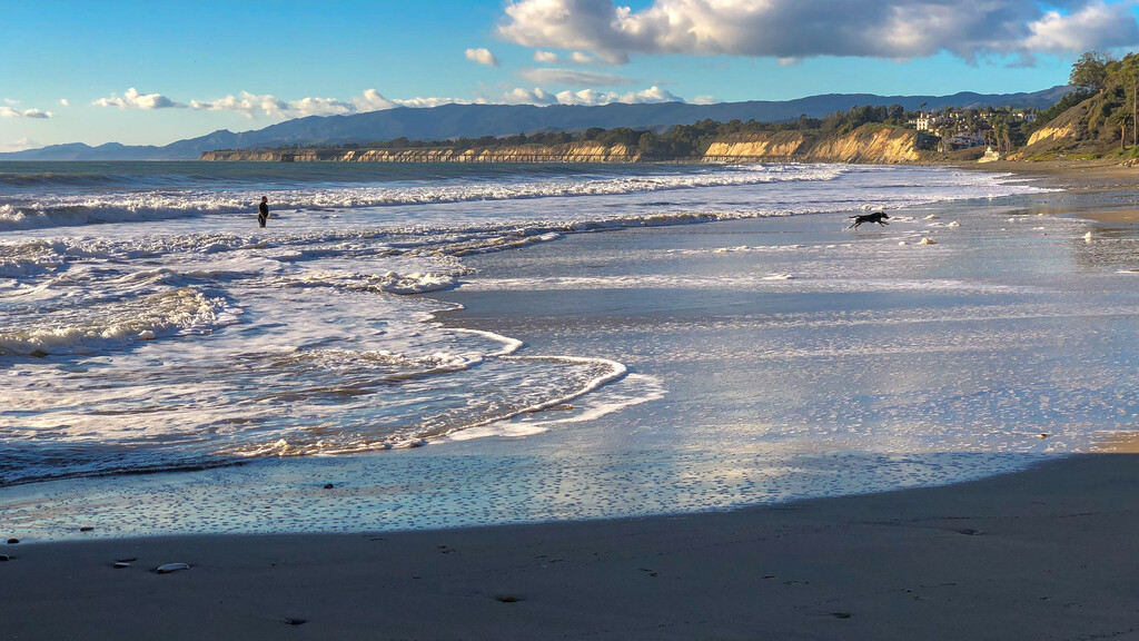Haskell's Beach on Christmas Day