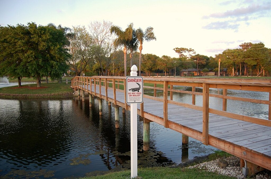Safety Harbor,Florida.USA. - panoramio (23)