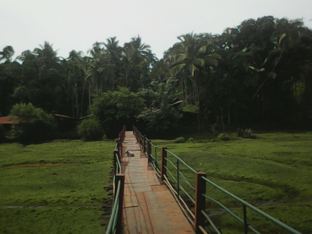 Tropical spice farms
