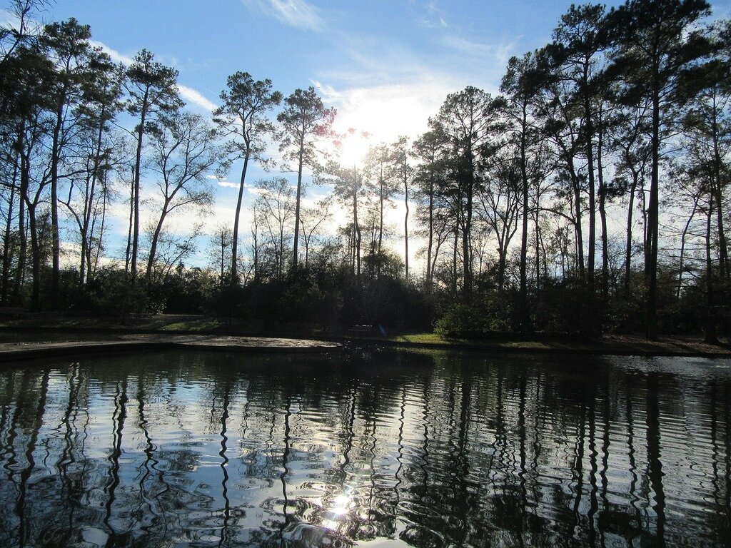 Houston Arboretum & Nature Center