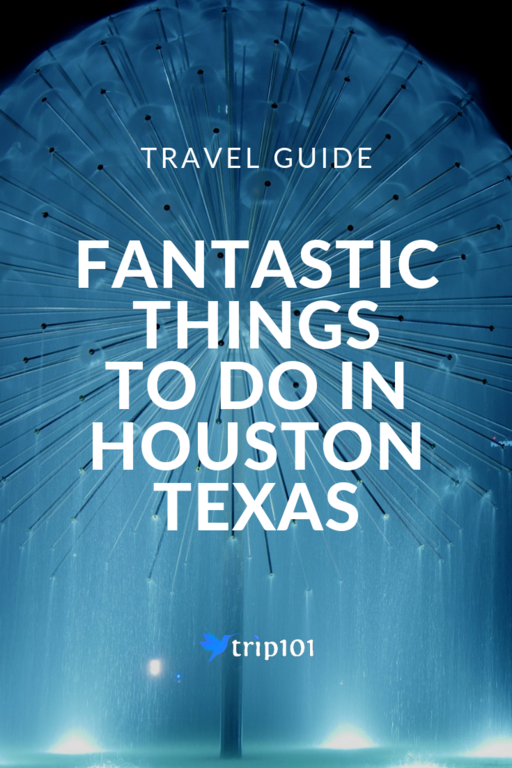 Things to do in Houston