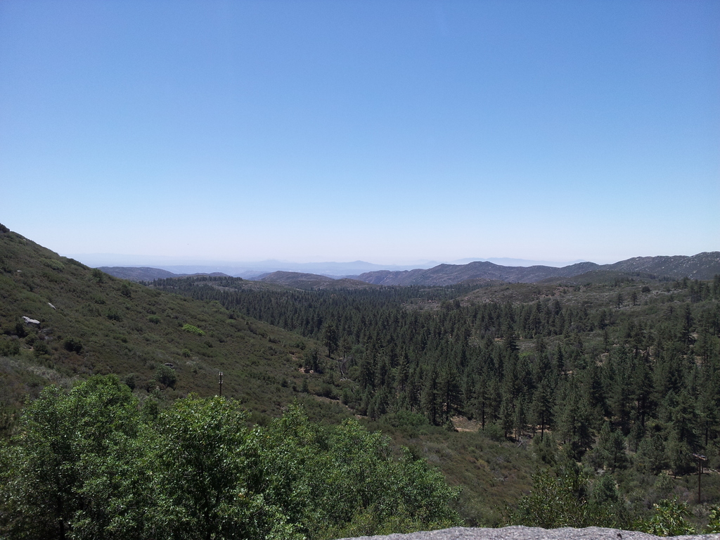 View of Cleveland National Forest from Mount Laguna