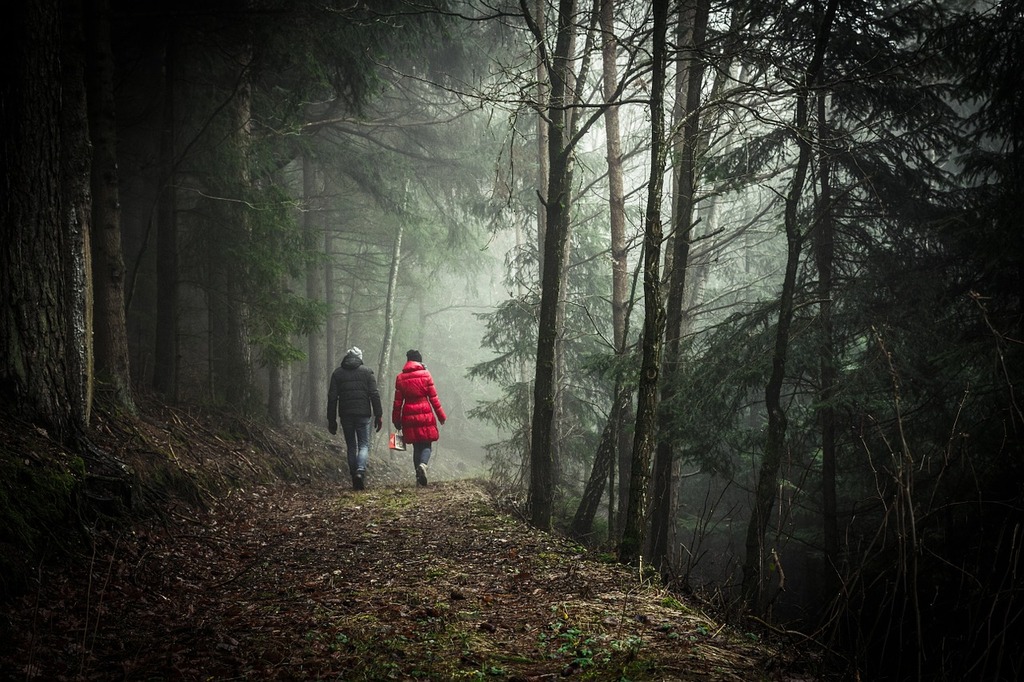 Nature Walk