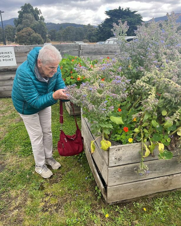 Willie Smith's Apple Shed