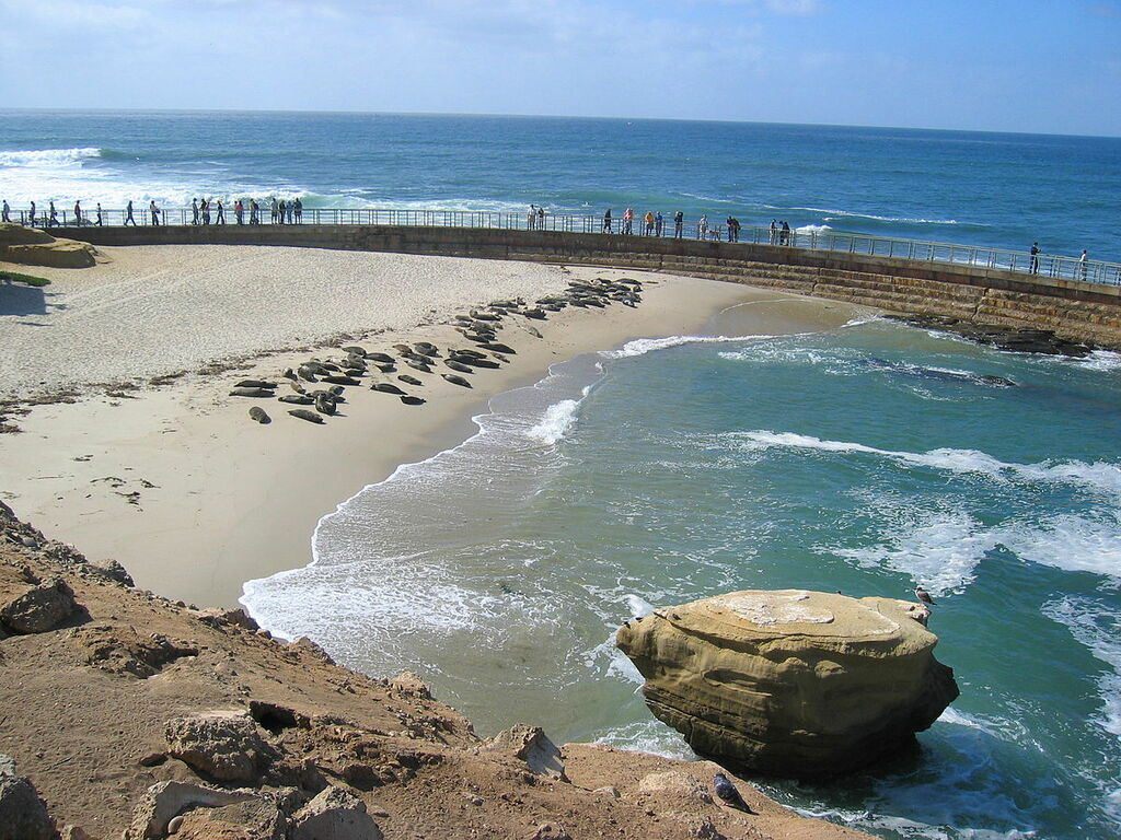 LaJolla childrenspool