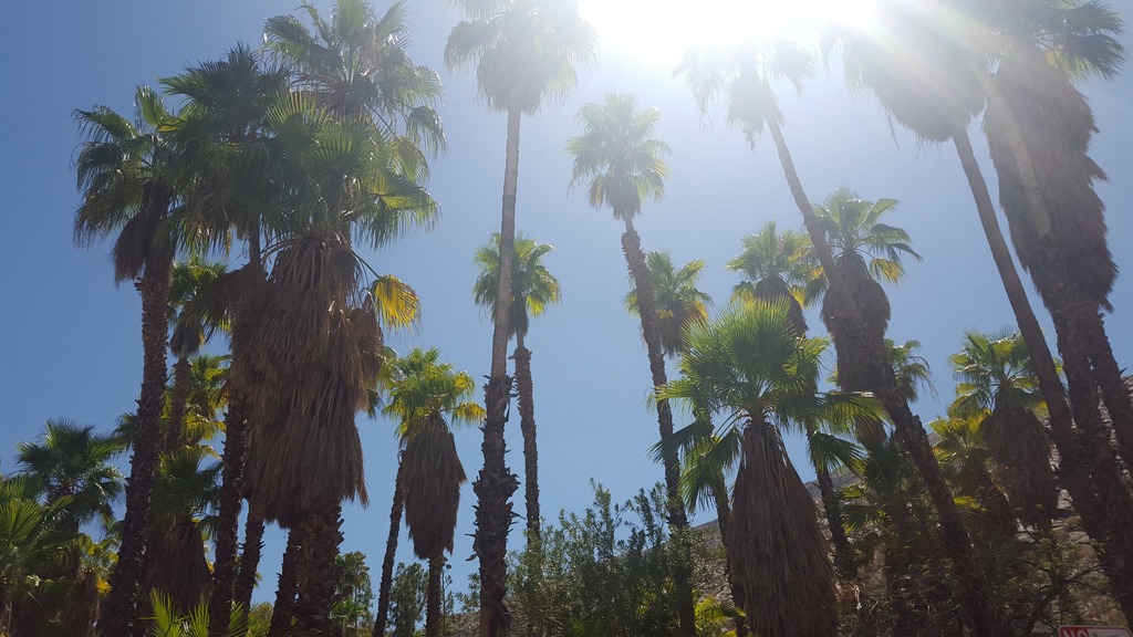 Palm Springs