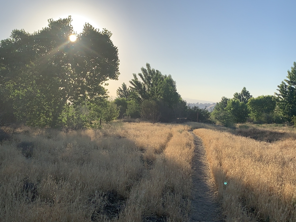 Morning walk in Panorama Vista Preserve for Haiku and exercise