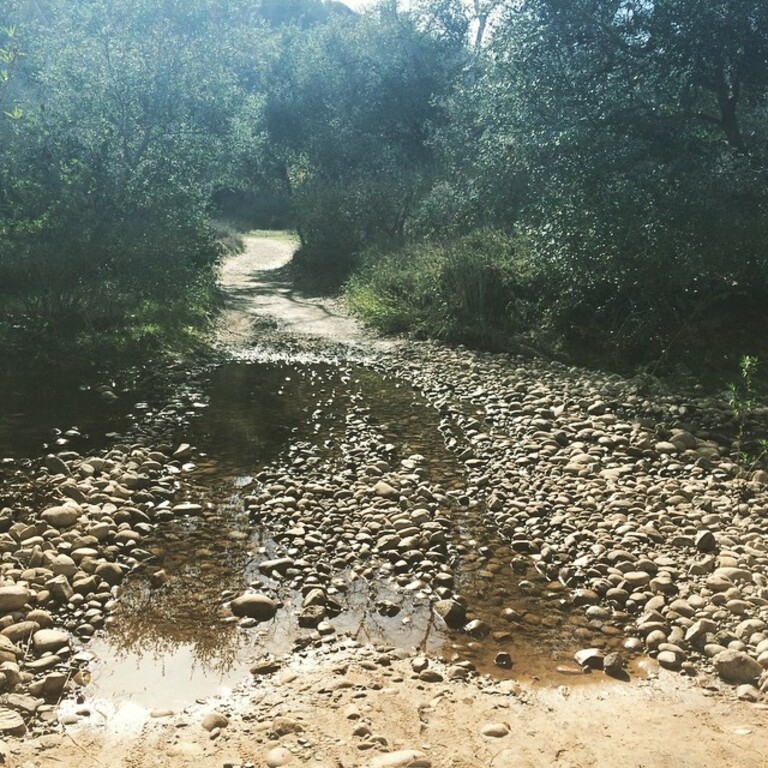 hiking in la jolla | san clemente trail