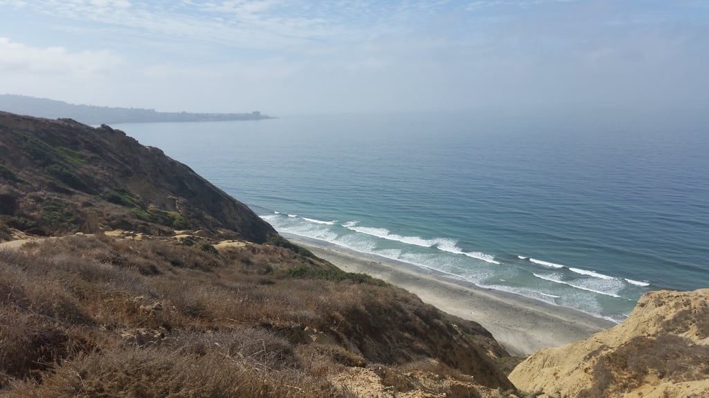 Scripps Coastal Reserve
