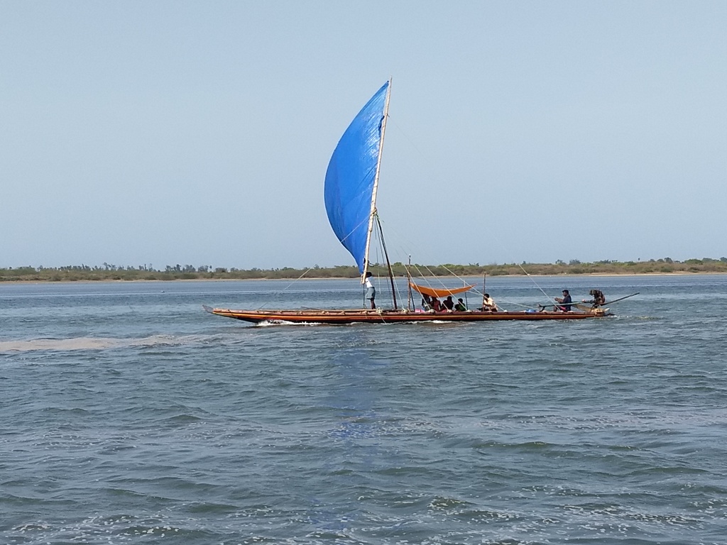 Pulicat Lake IMG 20180616 152959213